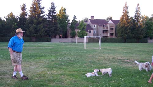 Louie, Beau and Peep