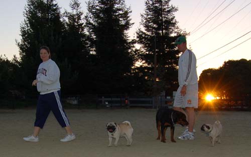 Rap Sunday at the Mountain View Dog Park