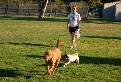 Daisy, Sheba and Gang - Week in Review