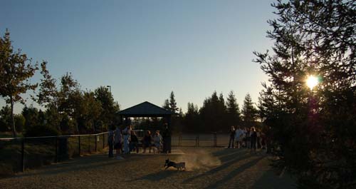 Hug Pug Sunday August 14 2005 - Week in Review