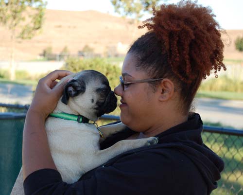 Hug Pug Sunday August 14 2005 - Week in Review