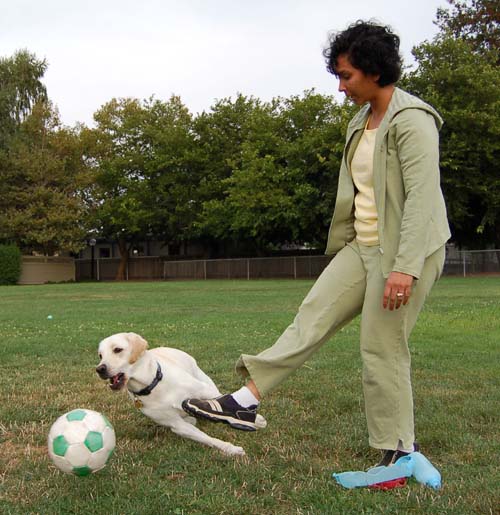 Atlas chases his ball