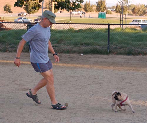 Rap Sunday at the Mountain View Dog Park