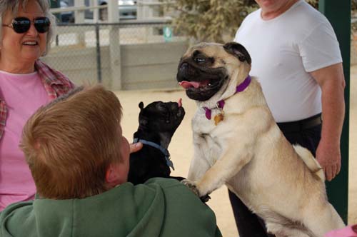 Hug Pug Sunday September 25, 2005