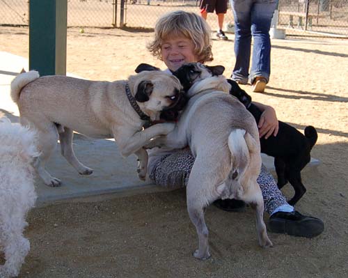 Hug Pug Sunday October 16, 2005