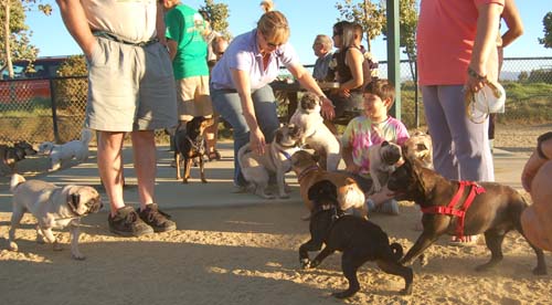 Hug Pug Sunday August 28, 2005