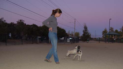 Rap Sunday at the Mountain View Dog Park