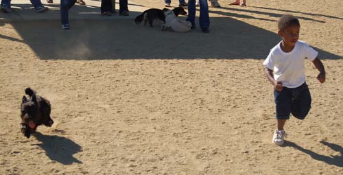 Hug Pug Sunday October 9, 2005