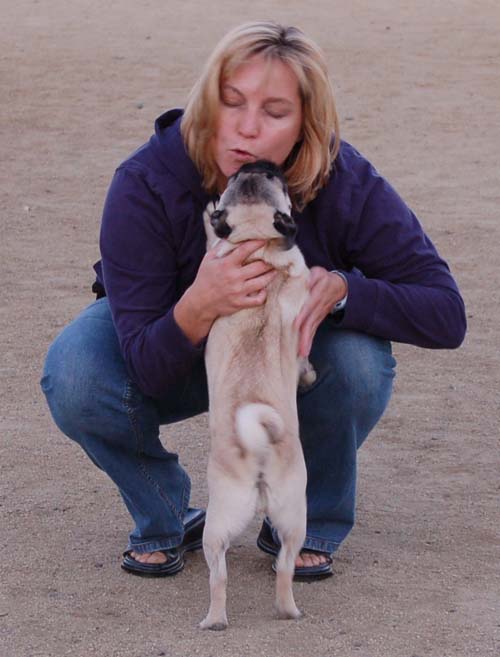 Rap Sunday at the Mountain View Dog Park