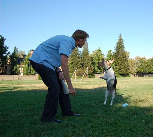 Daisy, Sheba and Gang - Week in Review