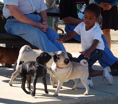 Hug Pug Sunday October 9, 2005