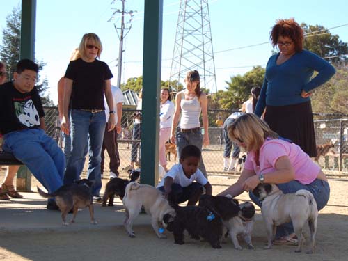 Hug Pug Sunday October 9, 2005