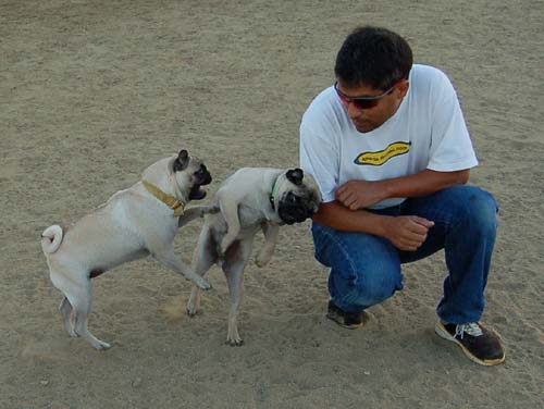 Rap Sunday at the Mountain View Dog Park