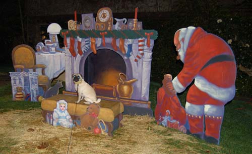 Sheba back at the Park