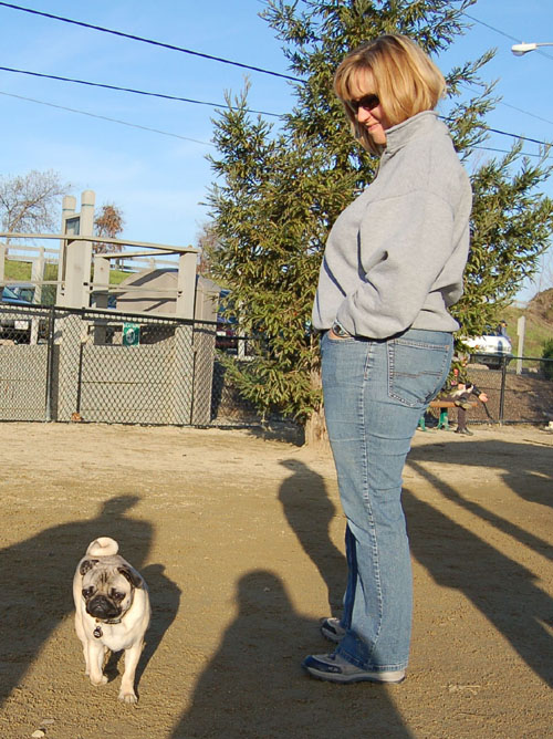 Sheba and Friends at the Mountain View Dog Park Sunday January 8, 2006