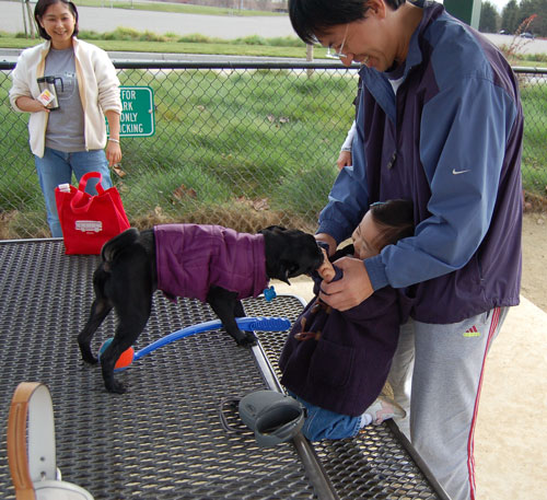 Gwen - Mountain View Dog Fun - January 29, 2006