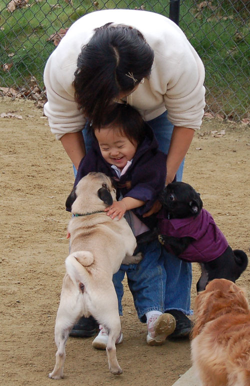 Gwen - Mountain View Dog Fun - January 29, 2006