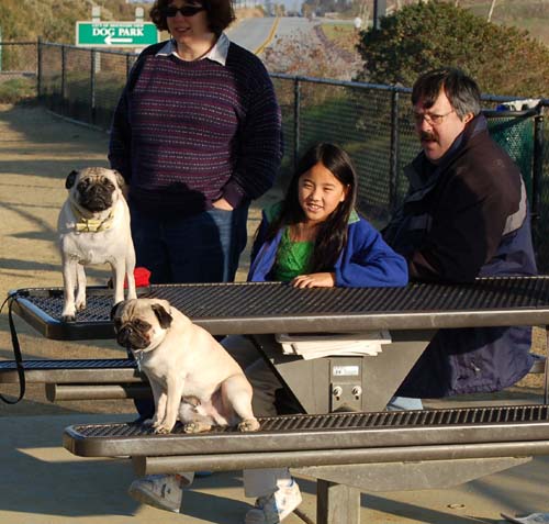 Sheba back at the Park