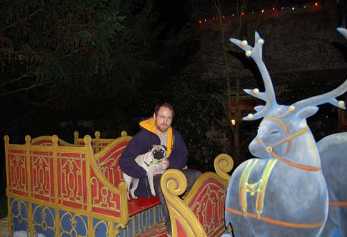 Sheba back at the Park