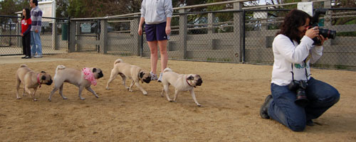 Sheba Birthday Party Sunday February 12, 2006