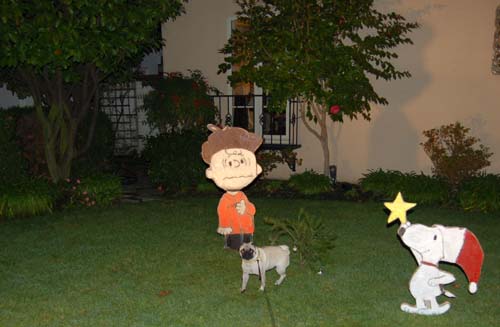 Sheba back at the Park