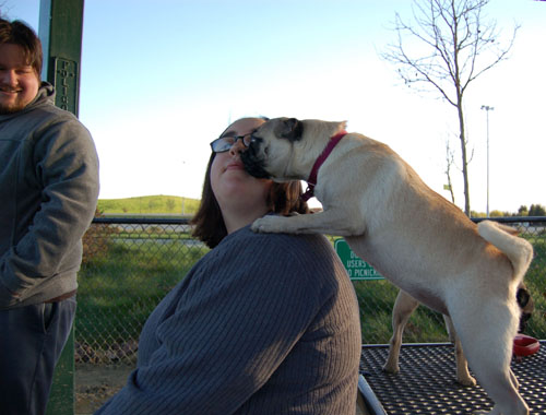 Sheba and Friends at the Mountain View Dog Park Sunday January 15, 2006