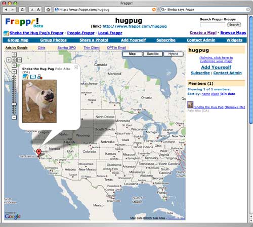 Sheba and Friends Map!!!