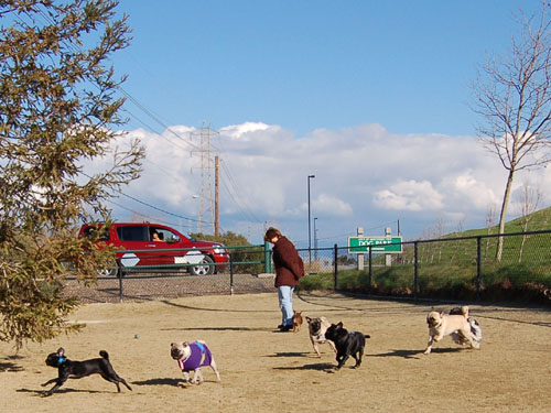 Chases - February 19, 2006