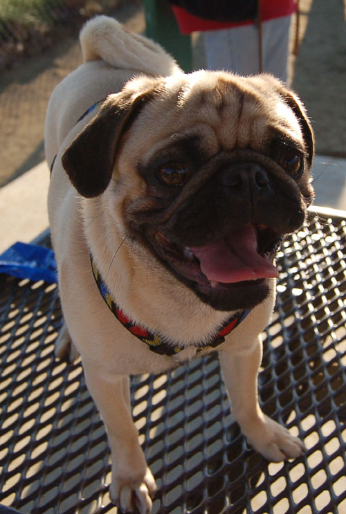 New Friend - February 19, 2006