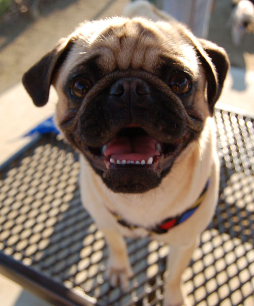 New Friend - February 19, 2006