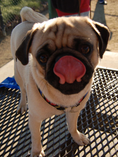 New Friend - February 19, 2006