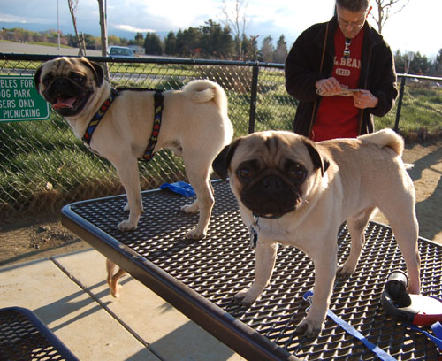 New Friend - February 19, 2006