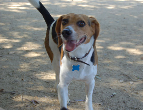 Toby going to NY party