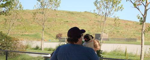Mountain View Dog Park - April 30, 2006