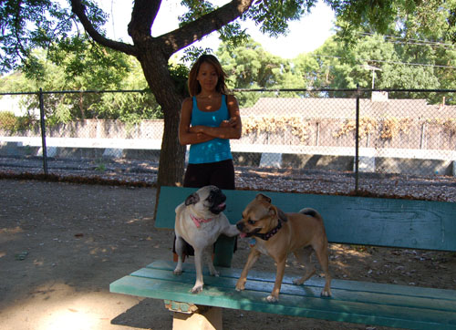 Honey and Sheba Chasing Fun