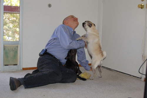 Jerry, Rio and Sheba