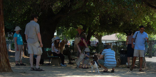 Toby going to NY party