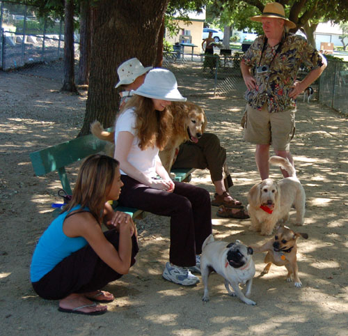 Honey and Sheba Chasing Fun
