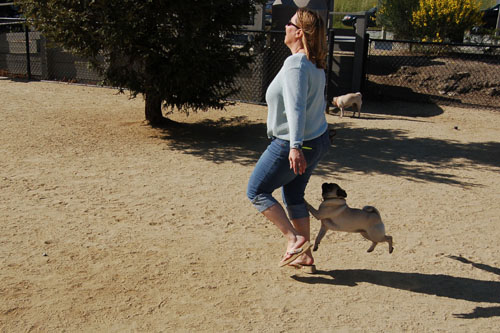 Mountain View Dog Park - April 30, 2006