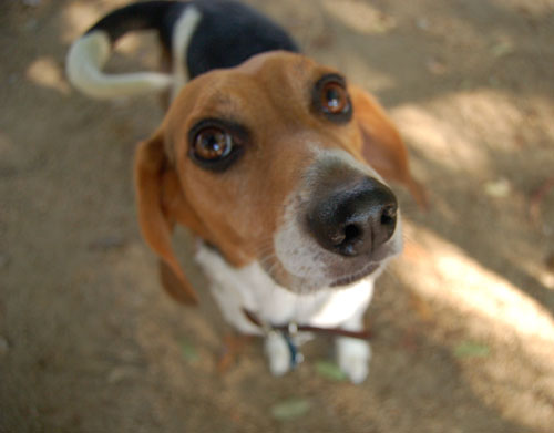 Toby going to NY party