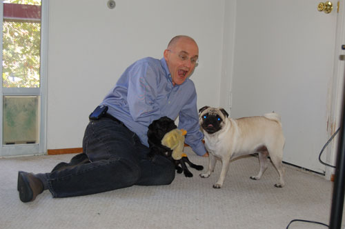 Jerry, Rio and Sheba