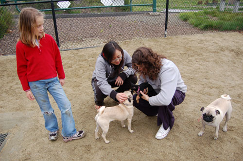 April 2, 2006 Hug Pug Park Fun
