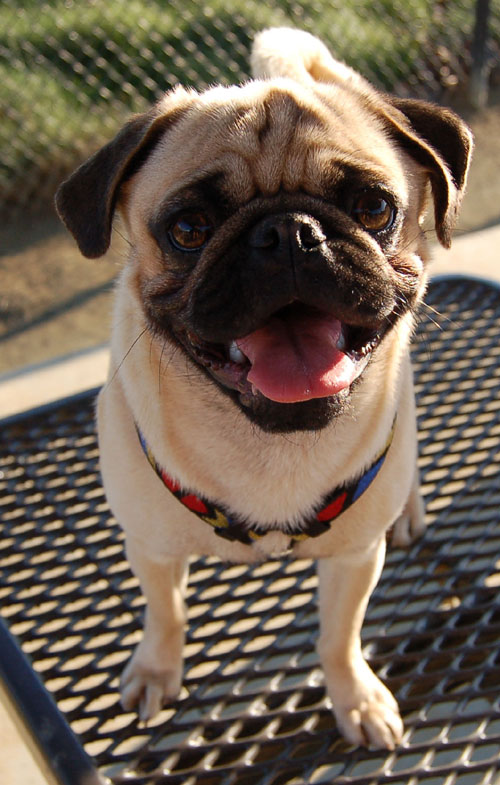 New Friend - February 19, 2006