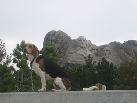 Toby Travels America Tto NYC