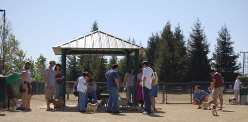 Mountain View Dog Park - April 30, 2006
