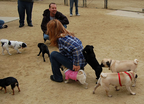 Rio Bravo gets Hugged