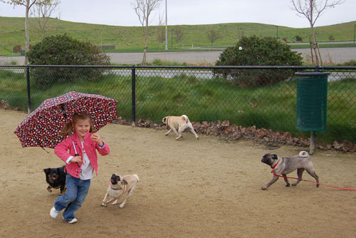 April 2, 2006 Hug Pug Park Fun