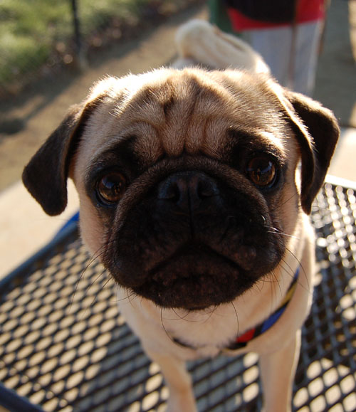 New Friend - February 19, 2006