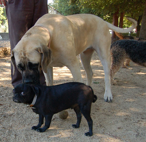 Toby going to NY party