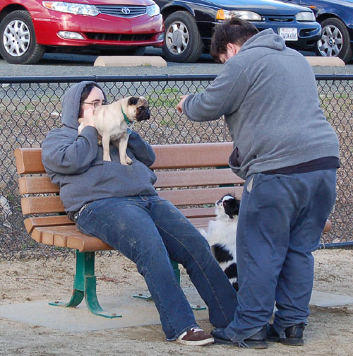 Mountain View Hug Pugs - March 12, 2006